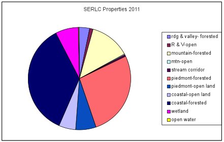 pie chart for 2009